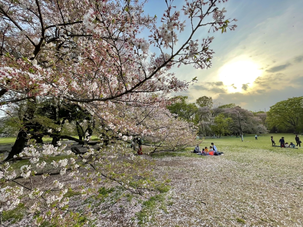 世田谷区のペット火葬プティセレモ