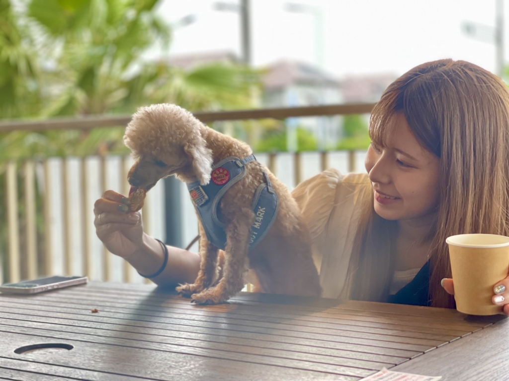 訪問ペット火葬プティセレモ