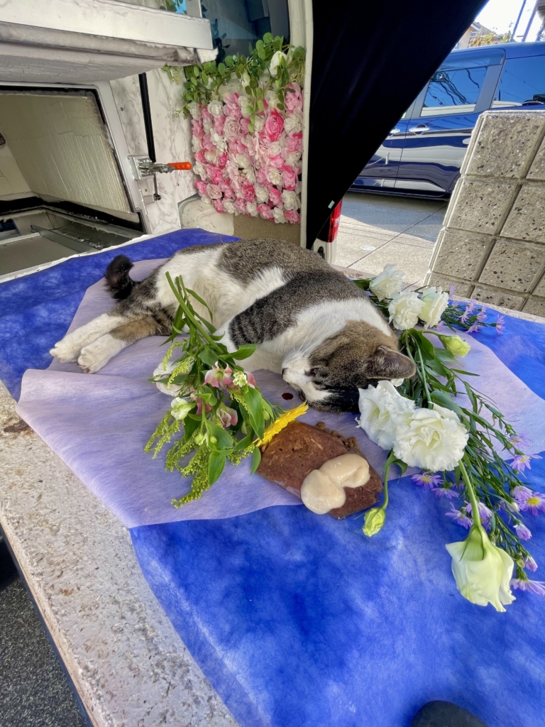 訪問ペット火葬プティセレモ