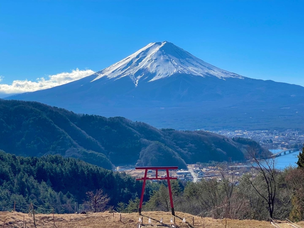 訪問ペット火葬　プティセレモ