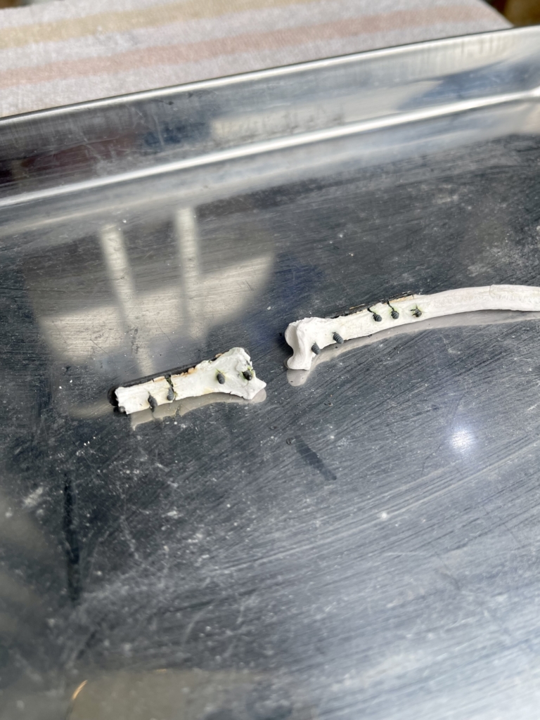 訪問ペット火葬プティセレモ