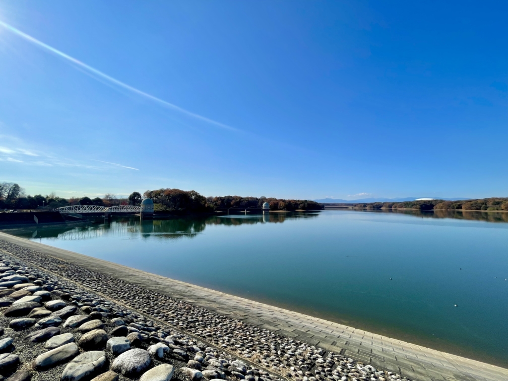 東村山市　ペット火葬