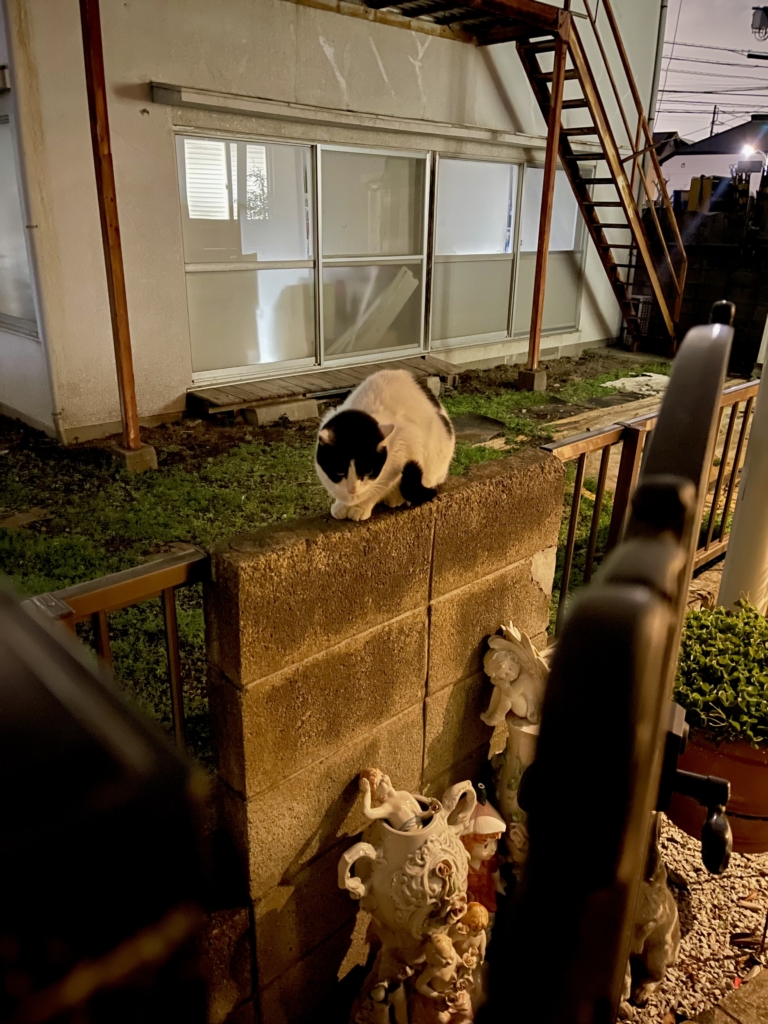 ペット火葬　世田谷区