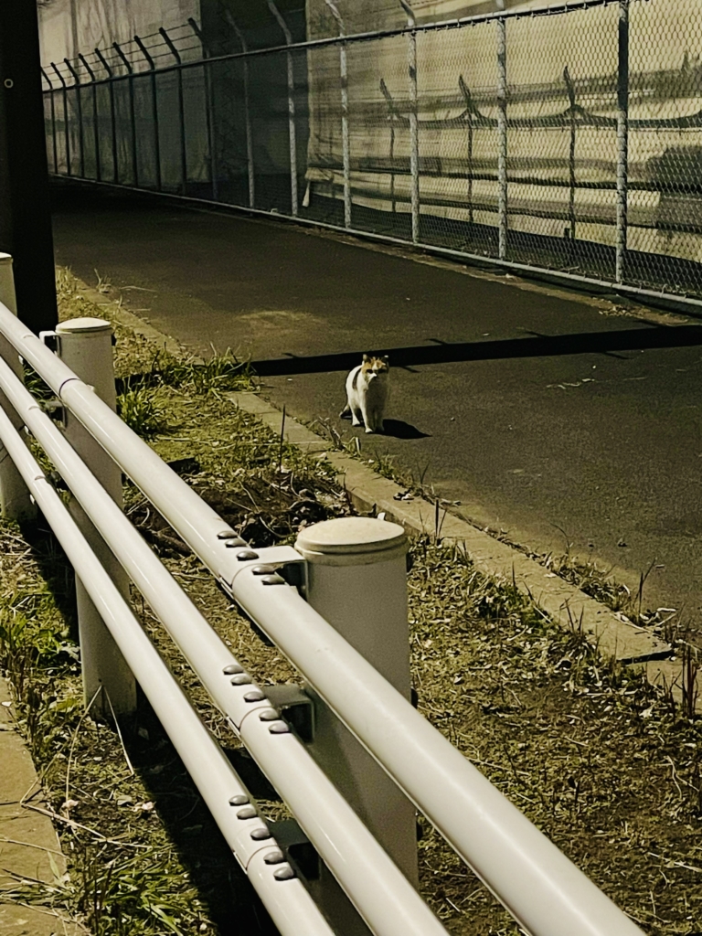 ペット葬儀　品川区