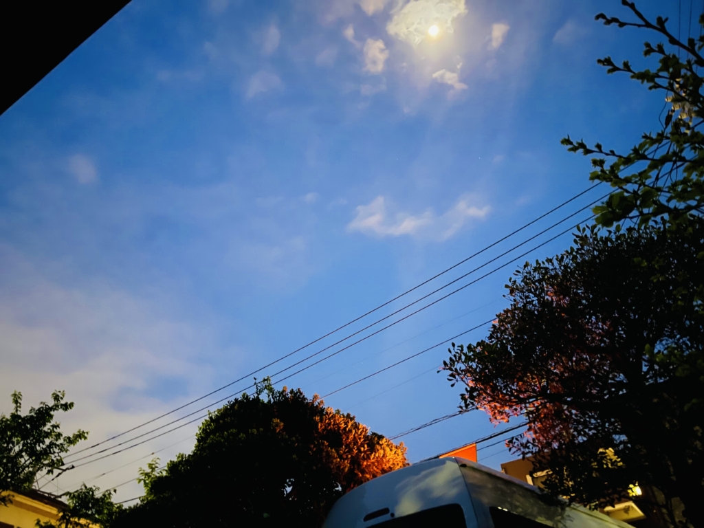 逗子市　ペット葬儀