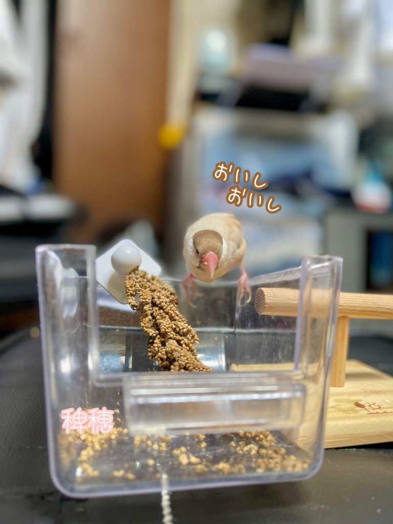 東京都 ペット火葬