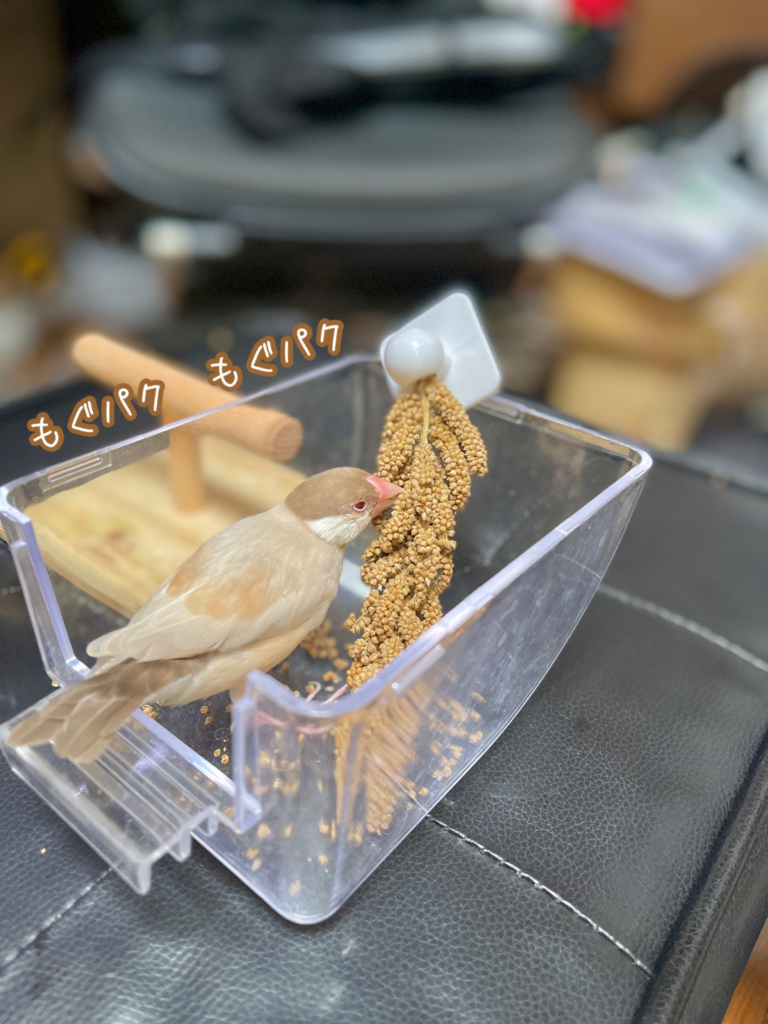 訪問ペット火葬プティセレモ