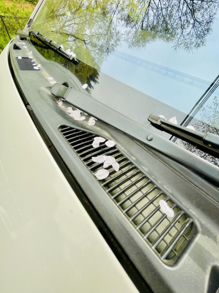 豊島区　ペット葬儀