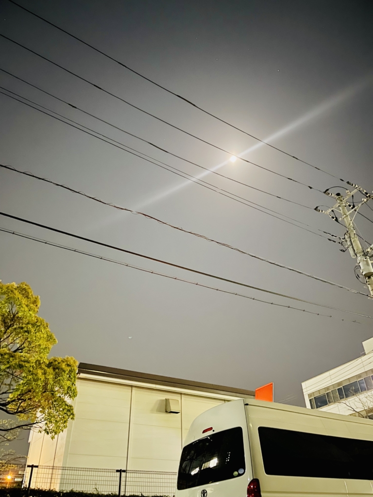 横浜市 ペット火葬