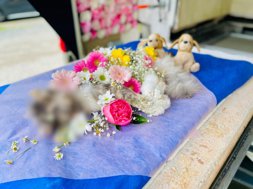 杉並区　ペット火葬