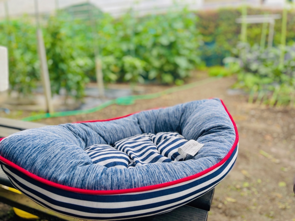 訪問ペット火葬プティセレモ