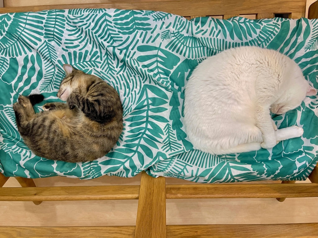 川崎市 ペット火葬