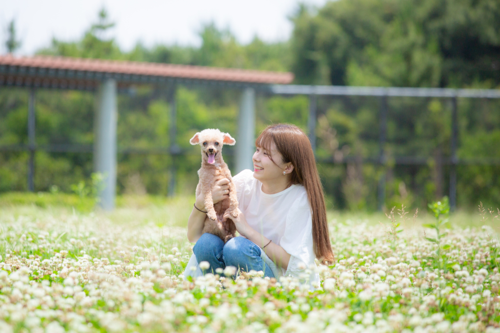 訪問ペット火葬プティセレモ