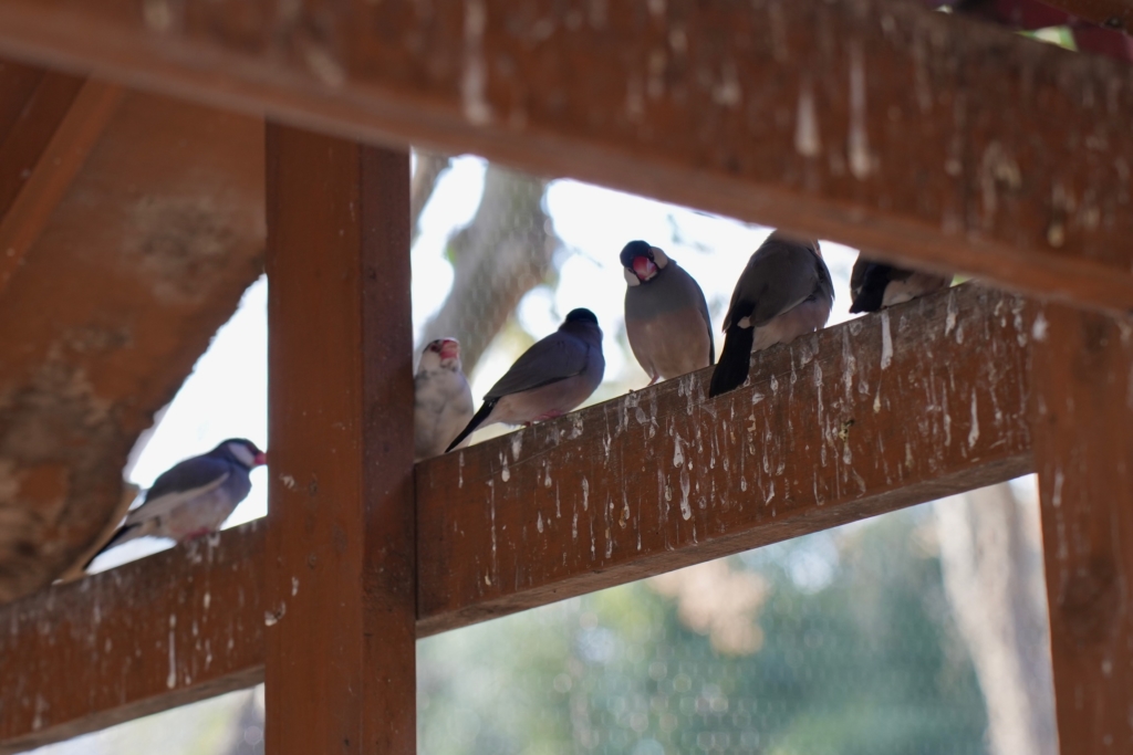 相模原市 ペット葬儀