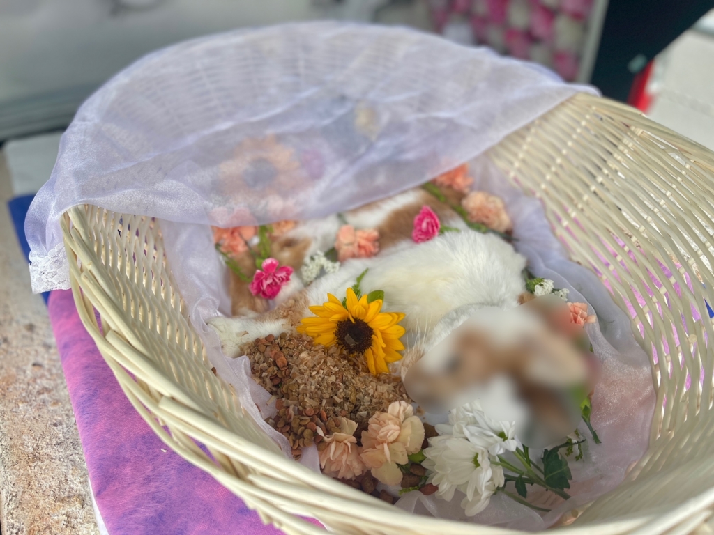 調布市　ペット火葬