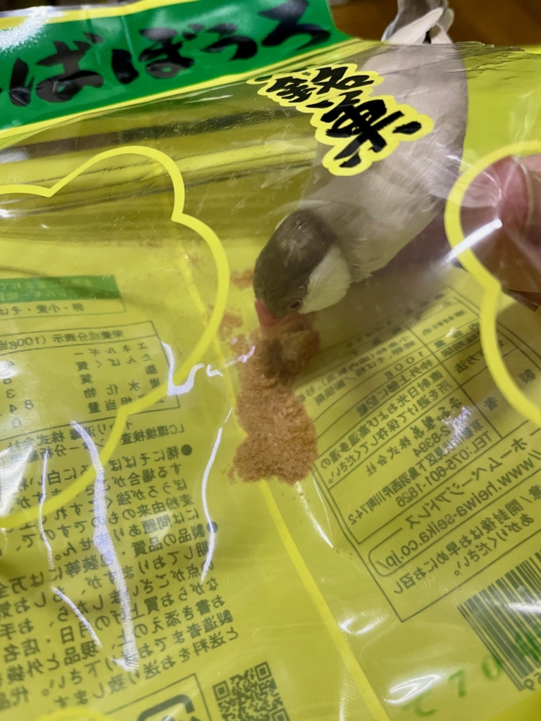 小動物　火葬