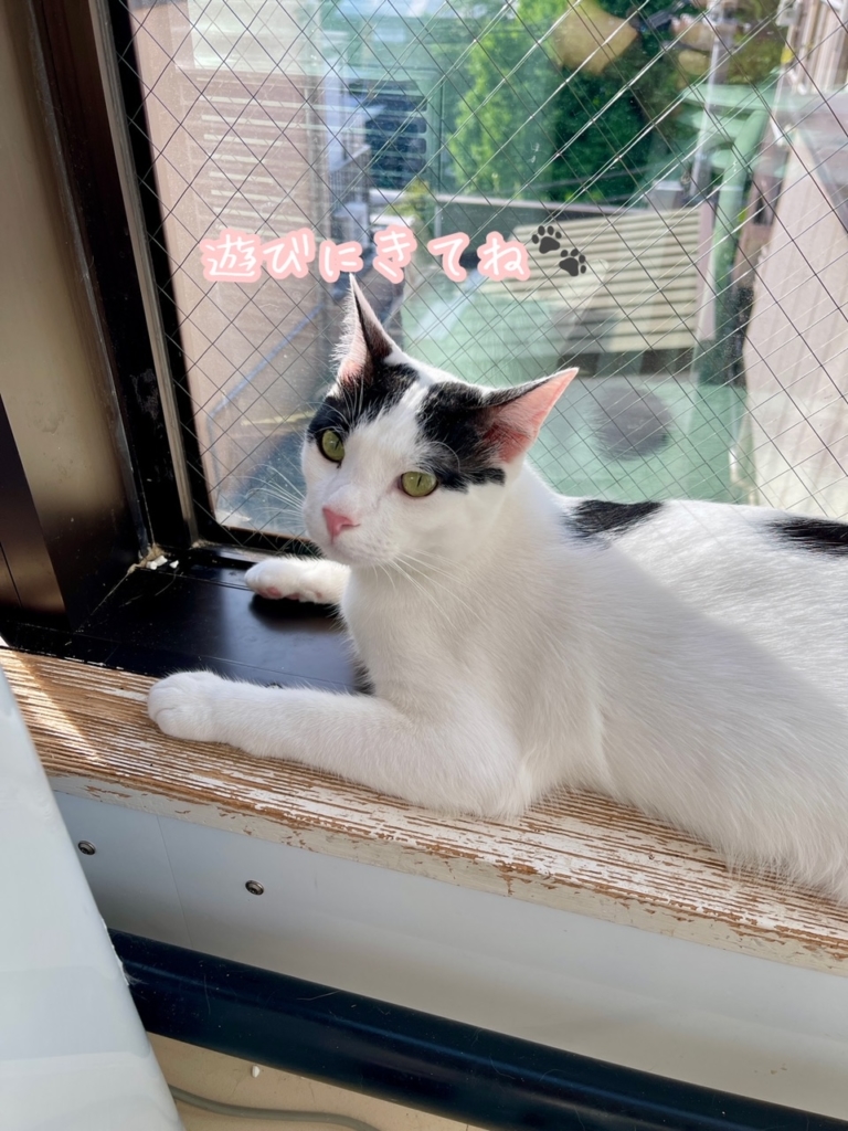 訪問ペット火葬　プティセレモ