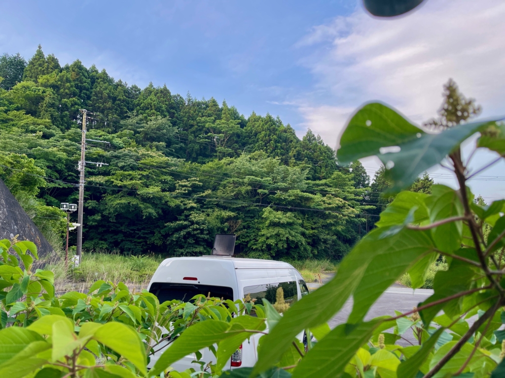 ハクビシン 火葬