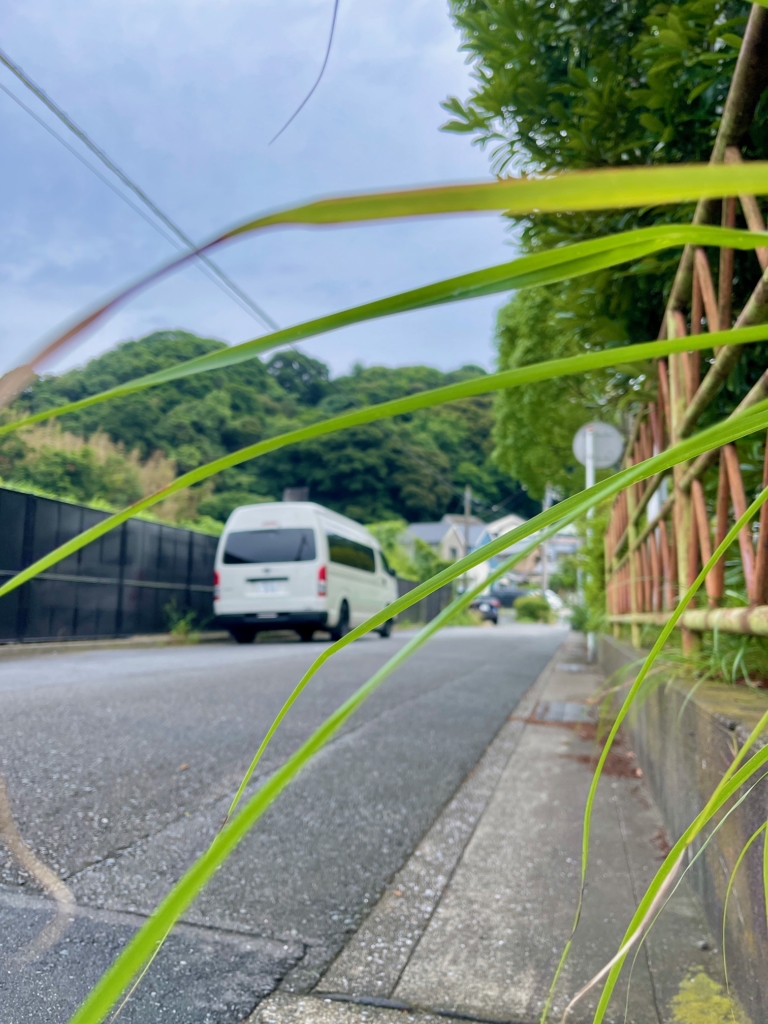 横須賀市　ペット　火葬