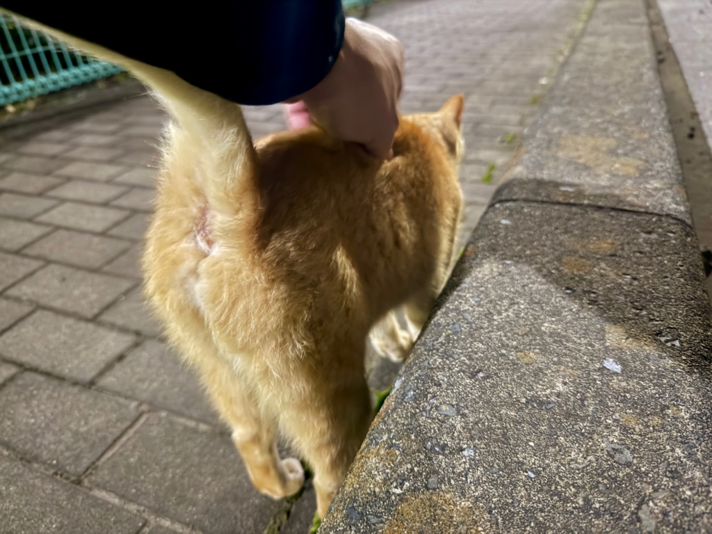 志木市 ペット火葬