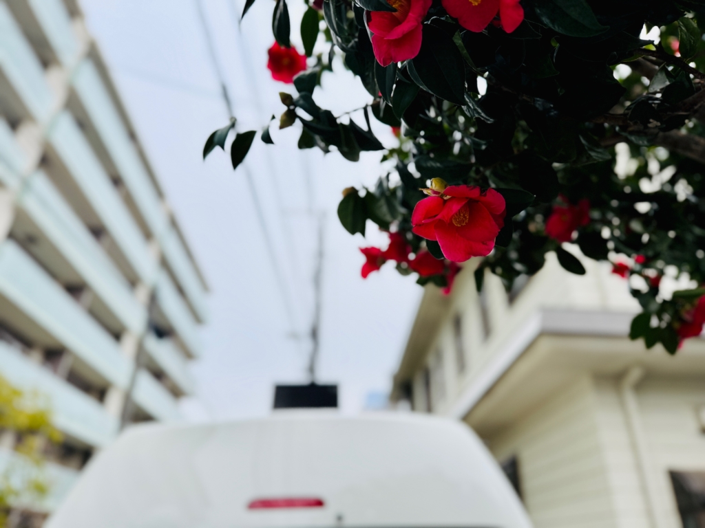 目黒区　ペット火葬