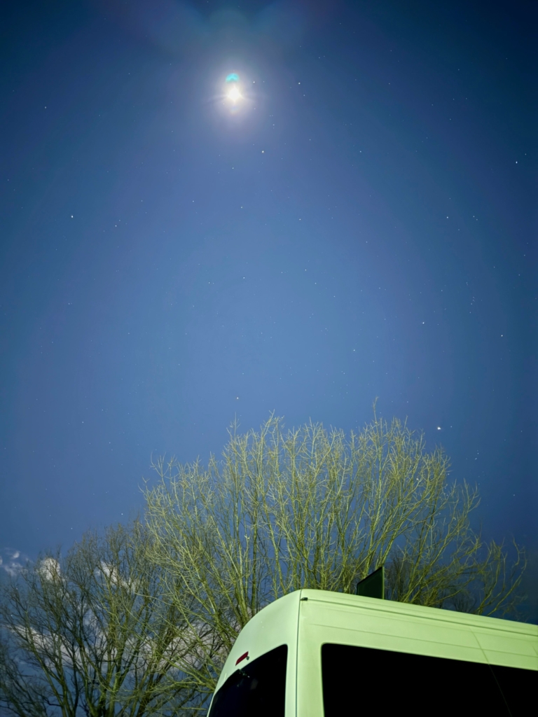 福生市のペット火葬