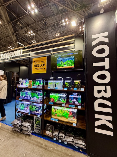 アクアリウムコーナー
