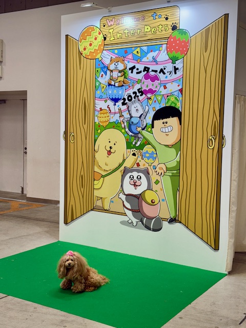 まめきちまめこの撮影ブース