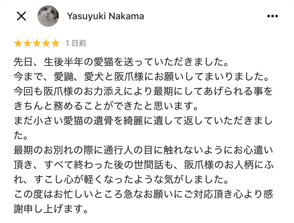 プティセレモ　クチコミ