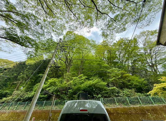 八王子市のペット火葬　プティセレモ