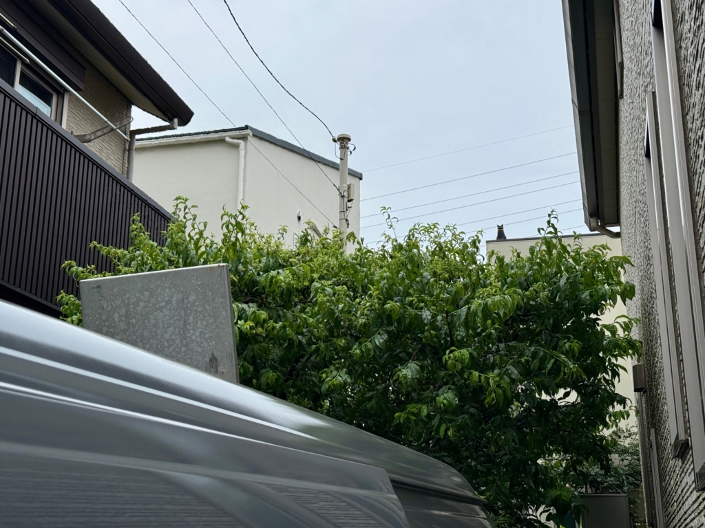 世田谷区のペット葬儀　プティセレモ